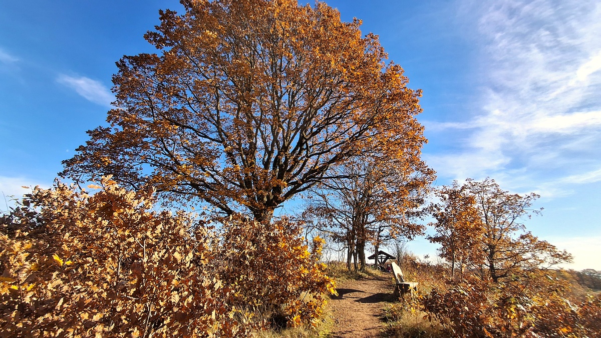 Karstwanderweg am Roten Kopf