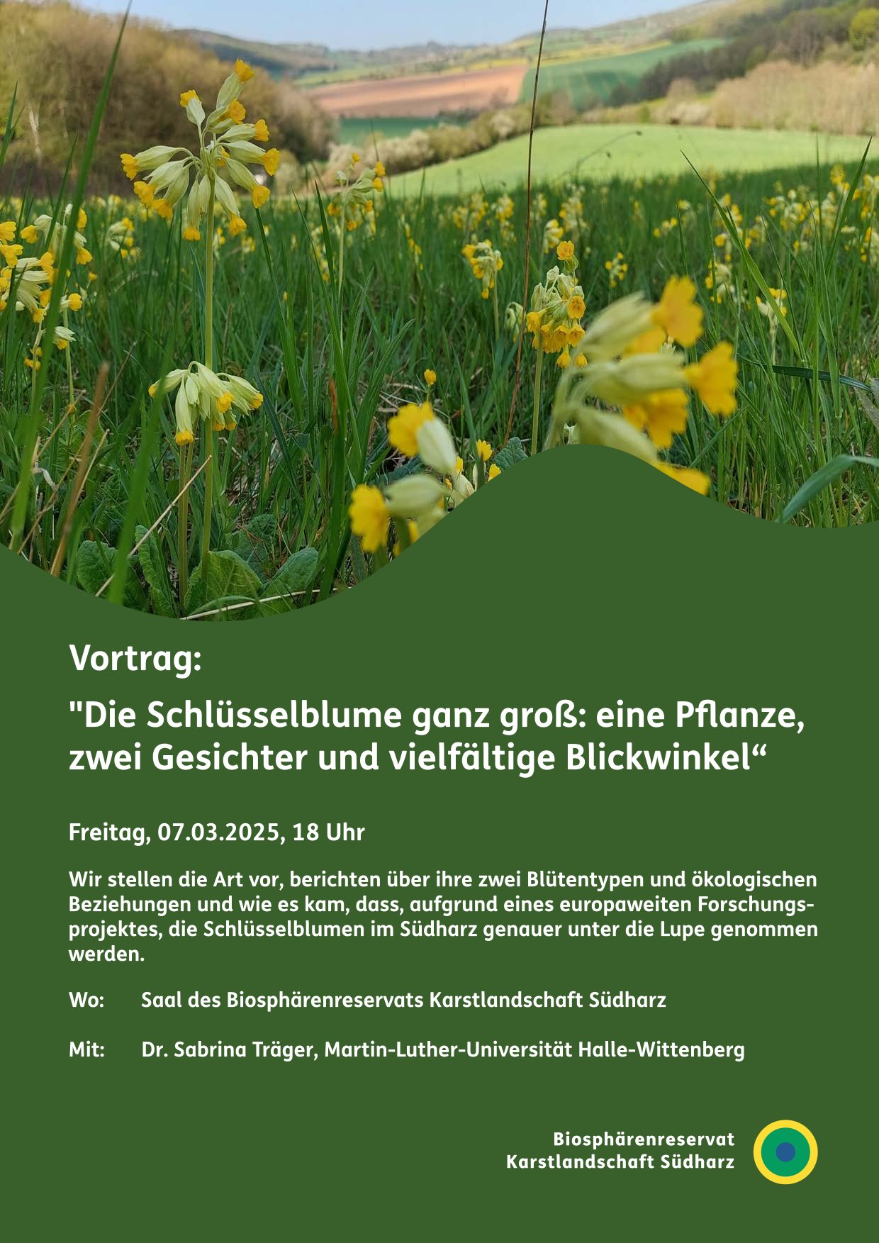 Vortrag von Dr. Sabine Träger, Martin-Luther-Universität Halle-Wittenberg über die Schlüsselblume. Veranstaltungsort: Verwaltungsgebäude des Biosphärenreservates Karstlandschaft-Südharz in Roßla